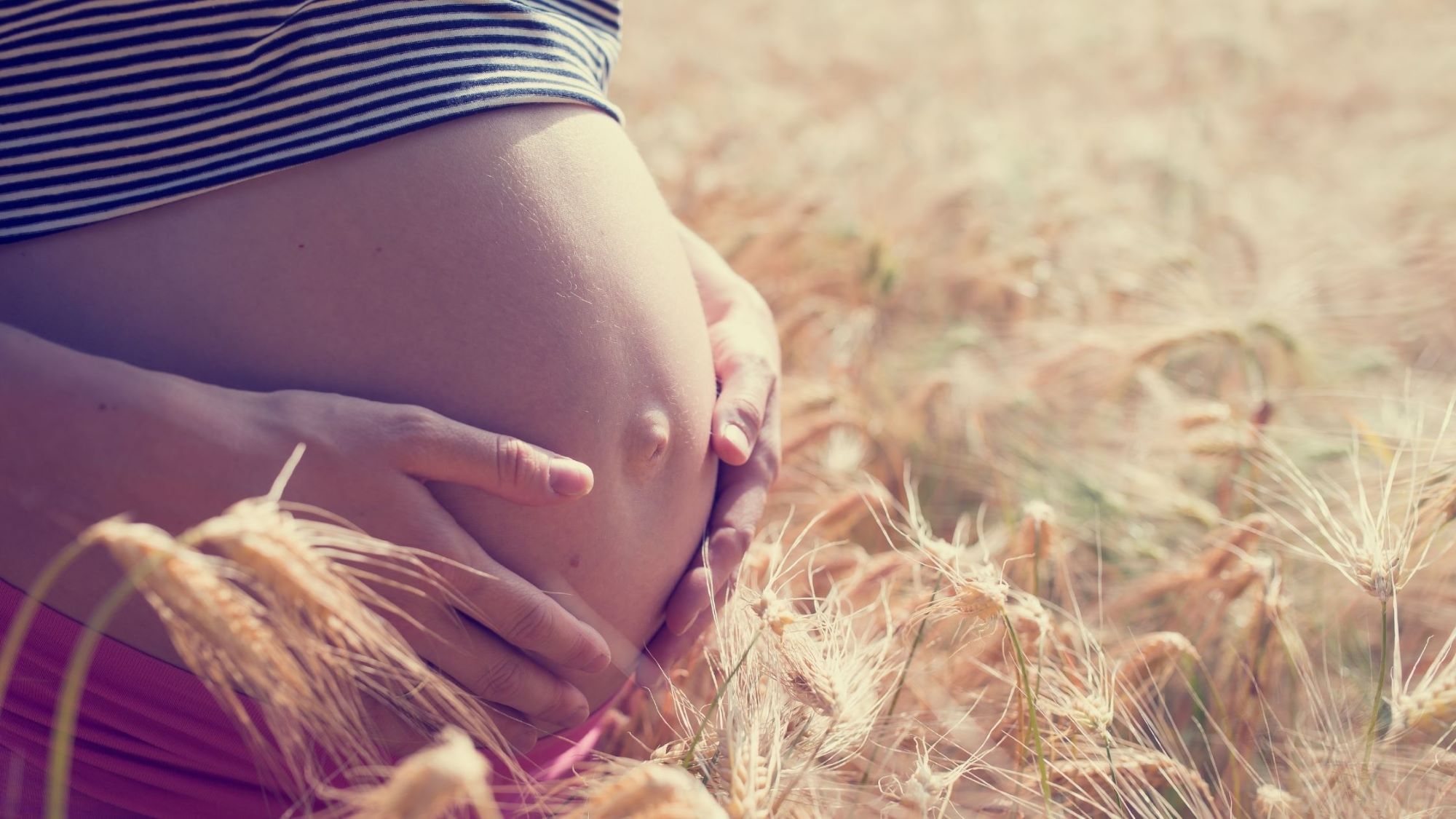 La grossesse mois par mois : 1,2,3… 9 mois pour un bébé ! ( 2ème partie )
