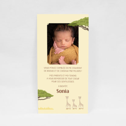 Carte remerciement naissance Girafe pixel