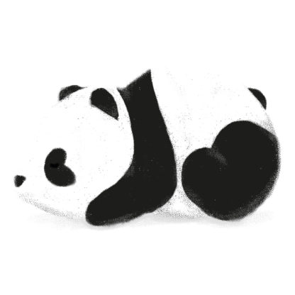 NFT naissance Panda