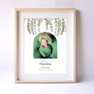 Affiche Eucalyptus naissance