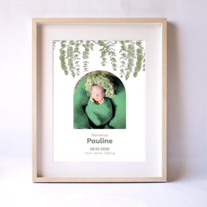 Affiche Eucalyptus naissance